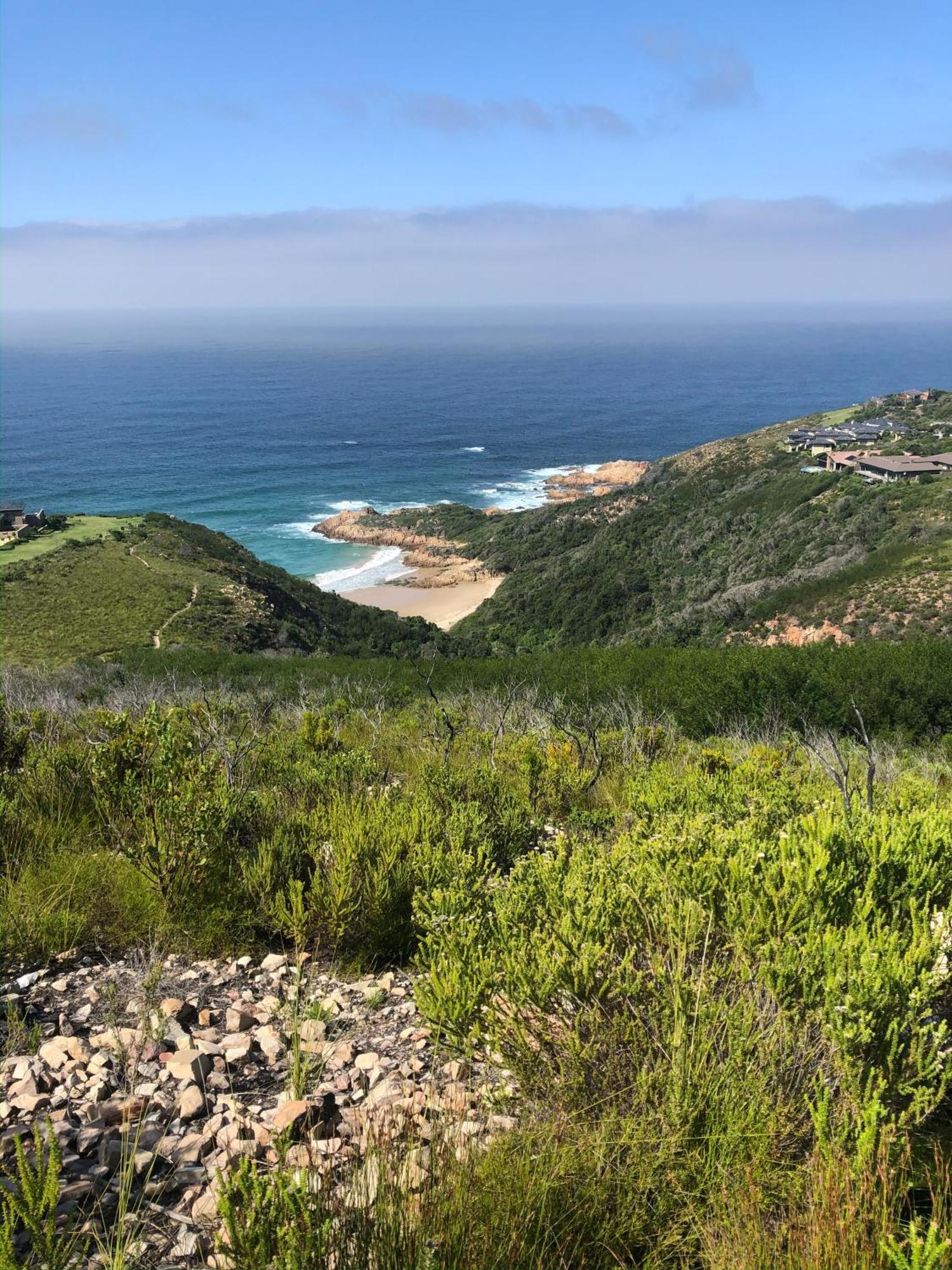 Pezula Nature Retreat كنيسنا المظهر الخارجي الصورة View of the beach at the headland of the Knysna Heads